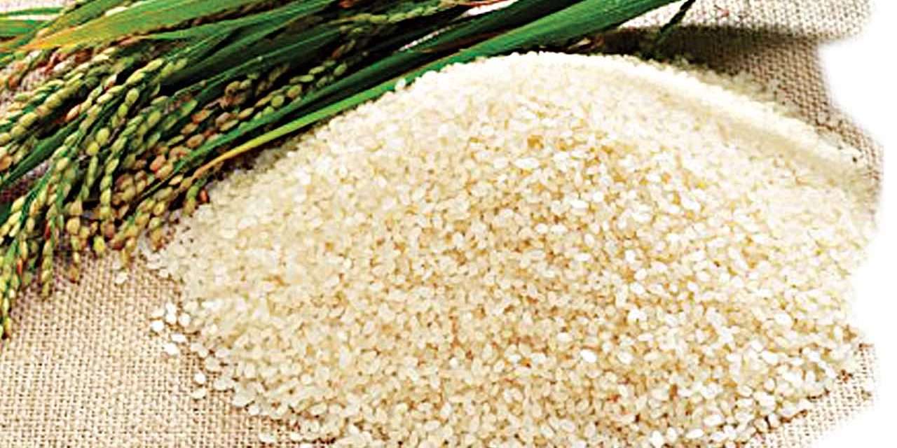 PODER MÃGICO DO ARROZ